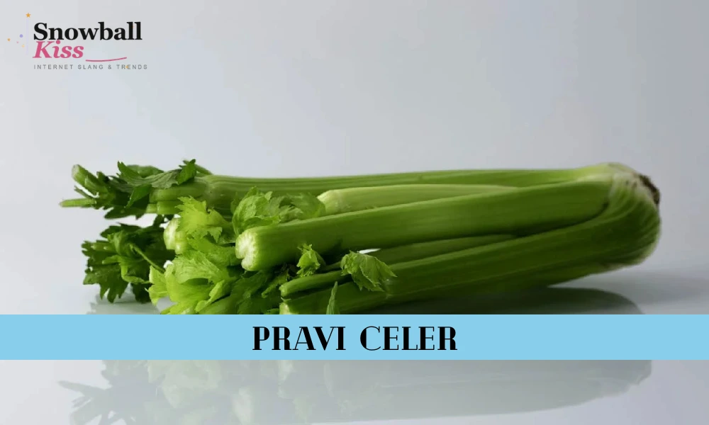 What Is Pravi Celer? Health Benefits and Easy Ways to Use It 1 Pravi Celer