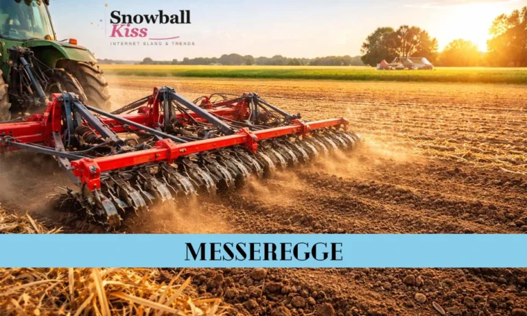 What Is Messeregge? A Complete Beginner’s Guide 5 Messeregge